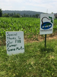 These signs were made by the FFA 10 students to show support for our FRB project sponsors near our fields of corn which are located on Mr. Gene Martin’s Farm. 
