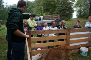 Learning all about Bacon the Micro Pig. 