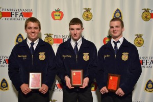 Top 3 individual in Poultry Evaluation CDE